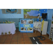 Expo Proyectos y Emprendimientos Empresariales 2017